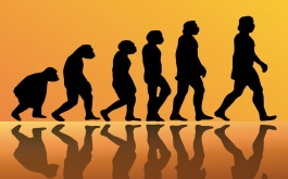 Trends in creditmanagement