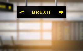 BREXIT: overgangsperiode moet kloof vermijden